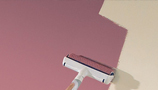 Paint Rollers & Pads (89)